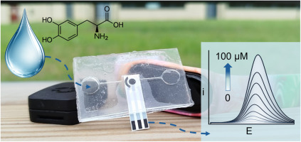 Plasma Treatments role in monitoring the efficacy of the gold standard treatment for Parkinson's Disease