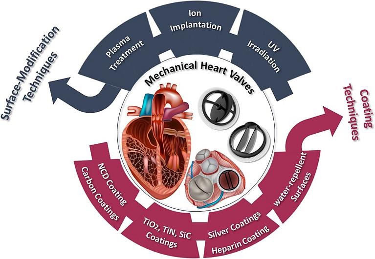 Exploring Plasma and Surface Modifications in Heart Valve Research