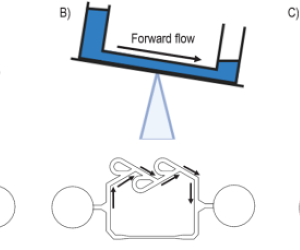 Diagram showing the principle of pumpless unidirectional perfusion using gravity-driven flow. Panel A displays fluid equilibrium with no flow. Panel B shows forward flow when tilted right, and Panel C illustrates reverse flow when tilted left. The system enables directional fluid perfusion without pumps by alternating tilt angles.