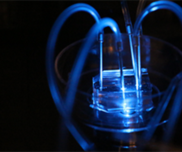 A microfluidics device, courtesy of the Making Lab at the Francis Circk Institute.